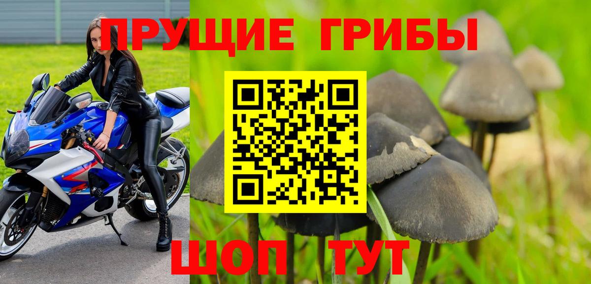 Псилоцибиновые грибы Psilocybe  Псилоцибиновые грибы Psilocybe  Вход с VPN  Краснокамск 